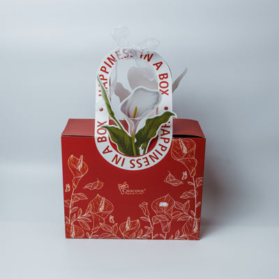 HAPPINESS IN A BOX RAKHI HAMPER